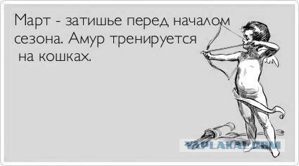 Весёлое из сети