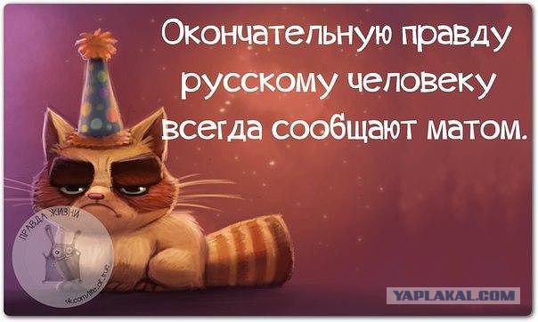 Весёлое из сети