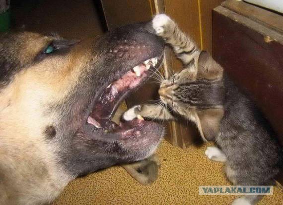 Родителям на заметку