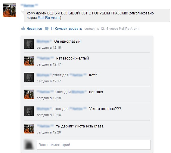 У кота нет глаз