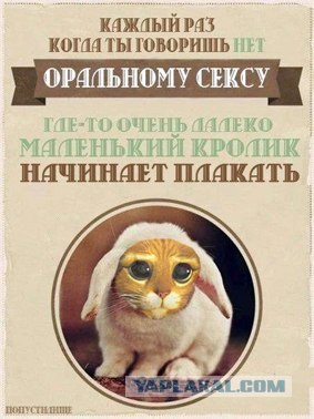 Обращение к женщинам