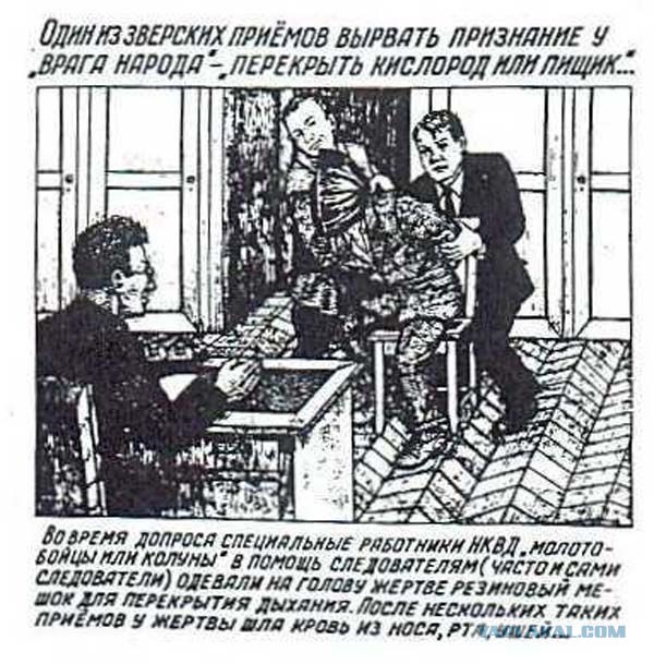 Прекрасная страна