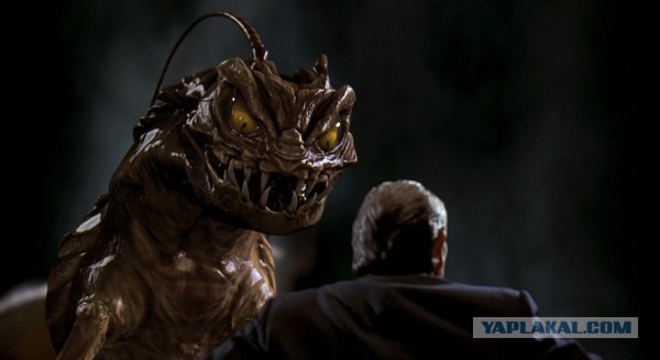 Вот такие таракашки живут в Выхинских подвалах