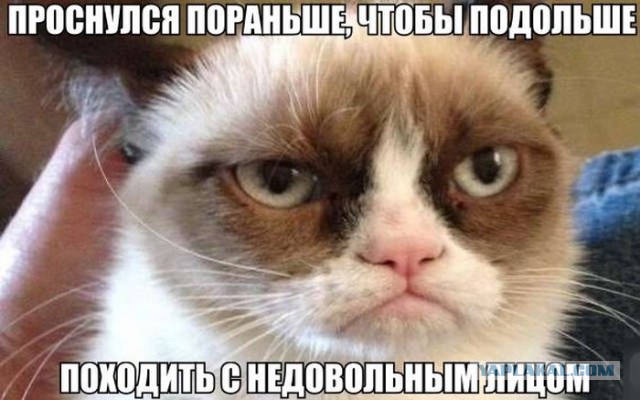 Картинки из инета