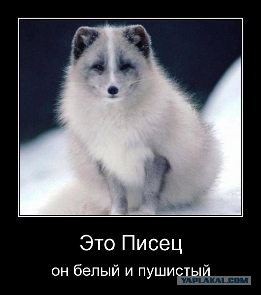 Пятница-день красивых мужиков. Часть 2.
