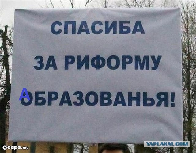 5 или 6?