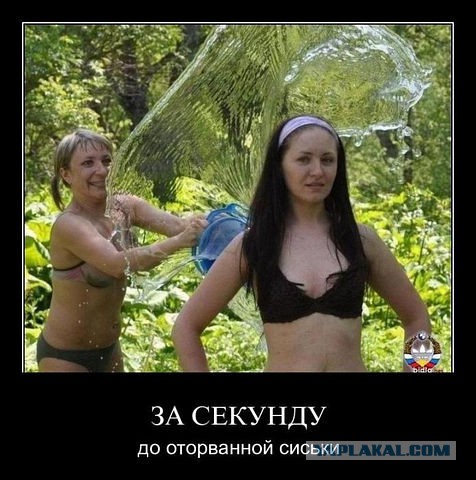 Весёлые картинки