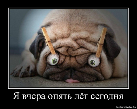 Немного картинок и демотиваторов