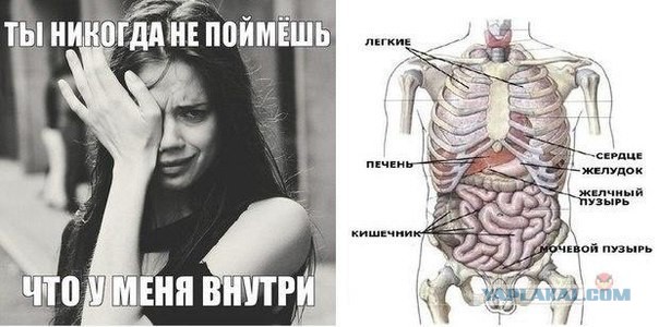 Ужасы и приколы из соцсетей 18+