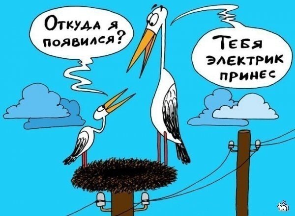 Немного картинок