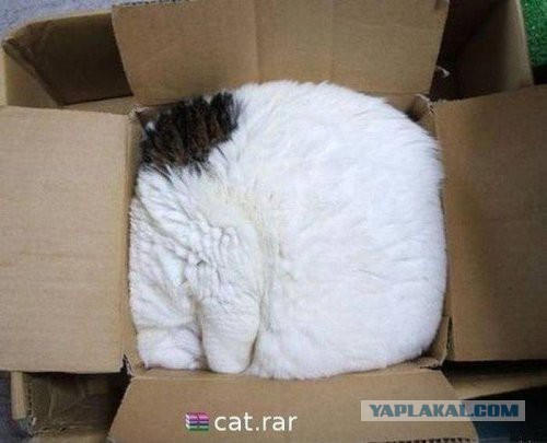 Скотинки - Животинки