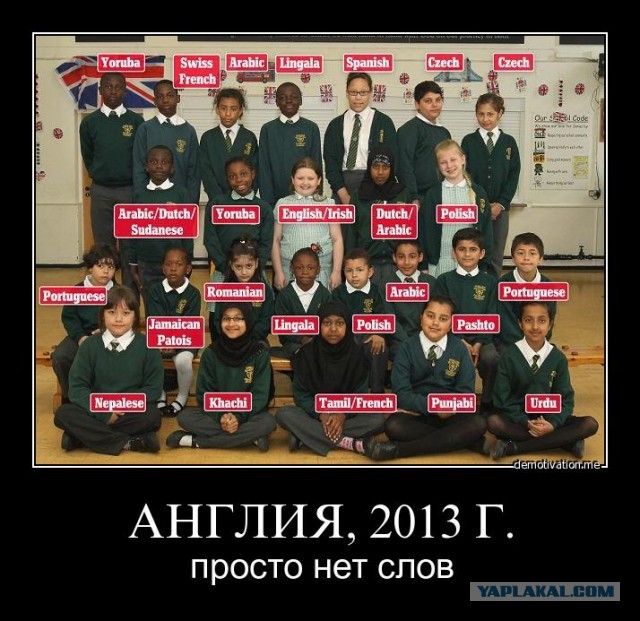 Весёлые картинки