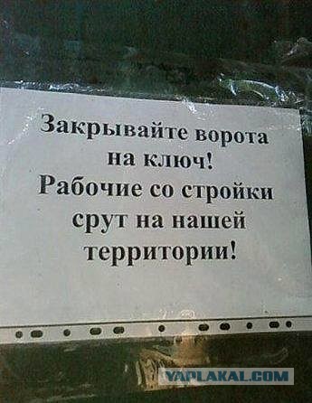 Картинки из сети, подборка