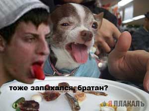 Фотожаба: Районник?