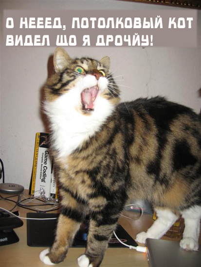 Вторник! Кашаки!