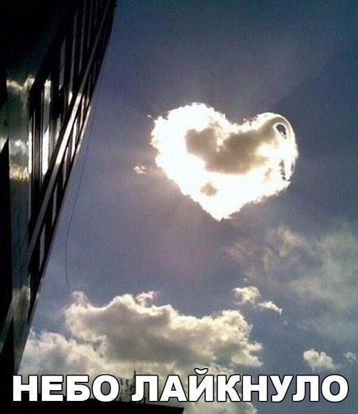 Интересные и веселые картинки