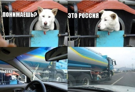 Немного когнитивного диссонанса