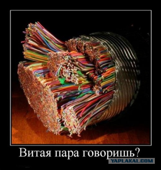 Несколько фоток