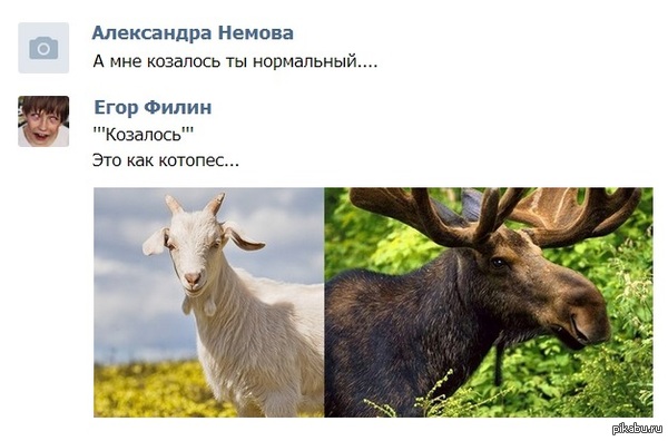 Граммар-наци вход воспрещён.