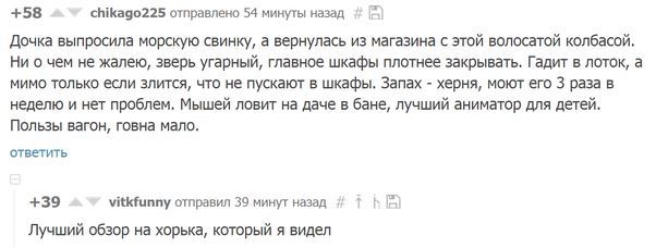Мощная доза деградации на выходные