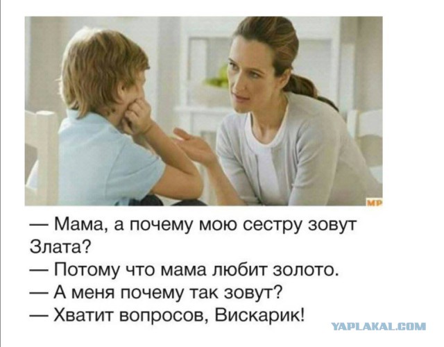 Порция картинок из сети