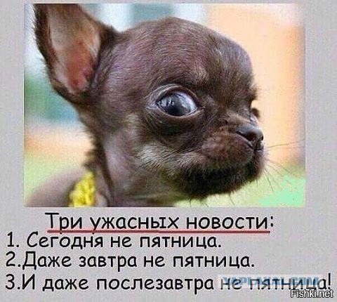 Подборка интересных и веселых картинок