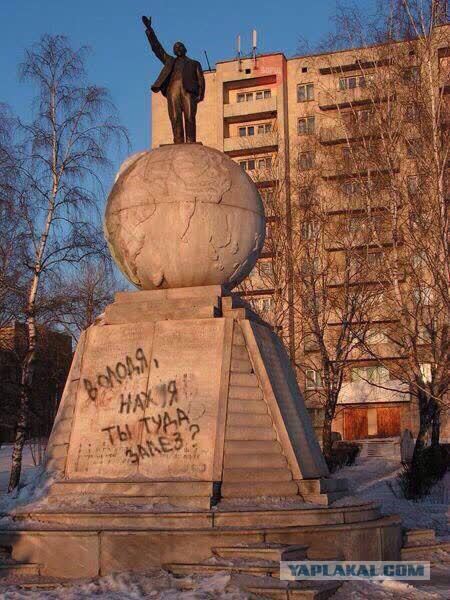 Весёлые картинки 23.11.2016