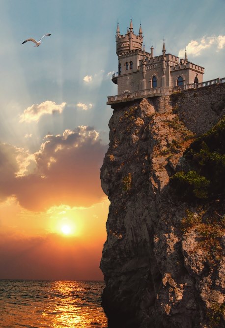 Моменты, запечатлённые на фото и просто позитив 5