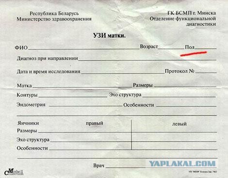 Подборка интересных и веселых картинок