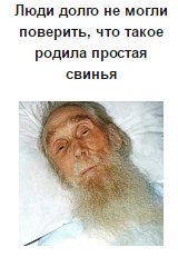 Подборка смешных и абсурдных новостей