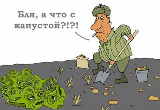 Беларусы капаюць бульбу