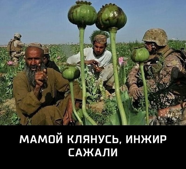 Картинки веселые и интересные