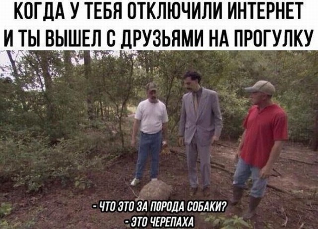 Немного картинок на вечер