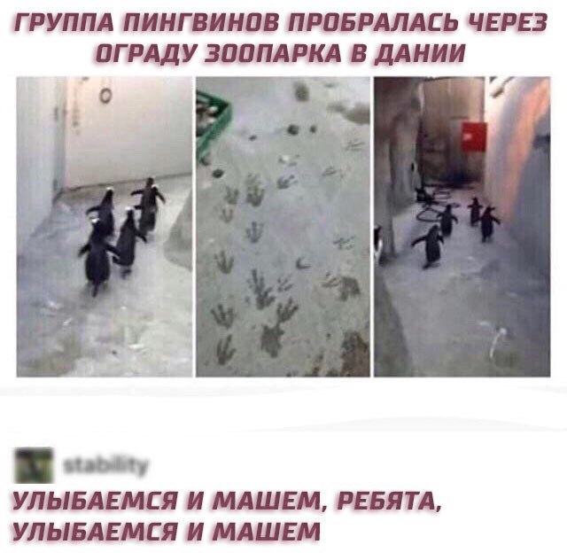 Прикольные комментарии и высказывания из Сети  31. 10 2018.