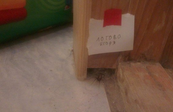 Прикольные надписи и объявления
