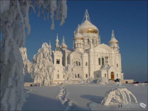 Подборка прикольных и просто красивых картинок 26.02.2019