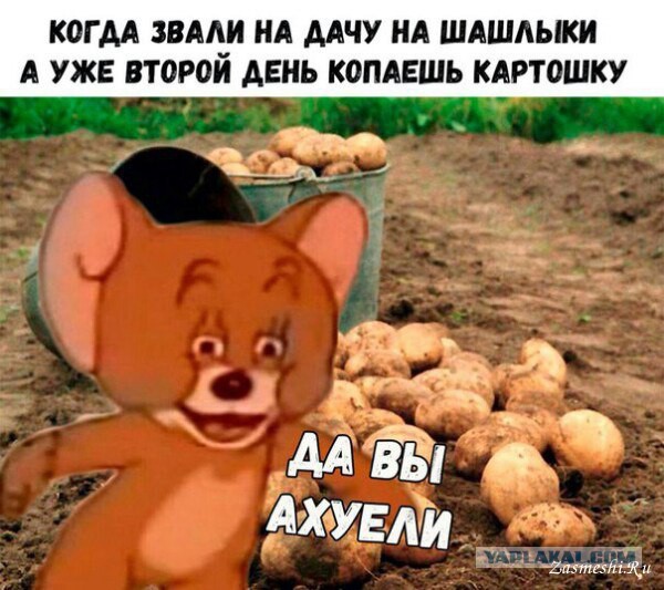 Поедем на дачу?