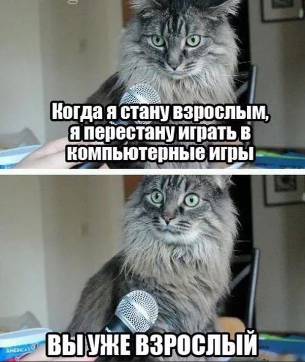 Майские шашлыки закончились. И началась чернуха!
