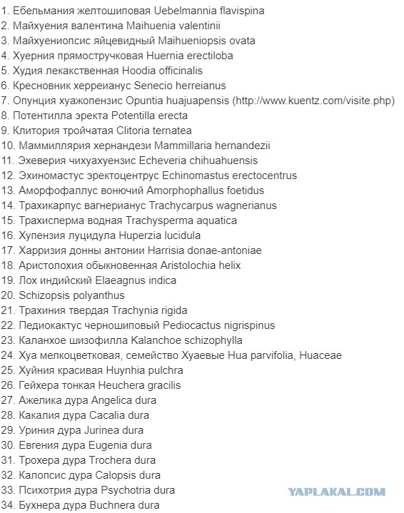 Вот вы когда-нибудь заходили в секс-шоп?