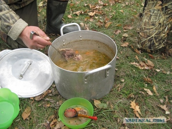 Шурпа обыкновенная, на природе