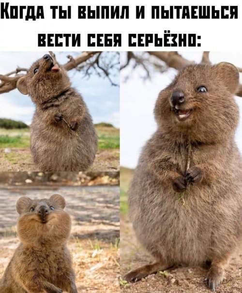 Немного картинок для настроения
