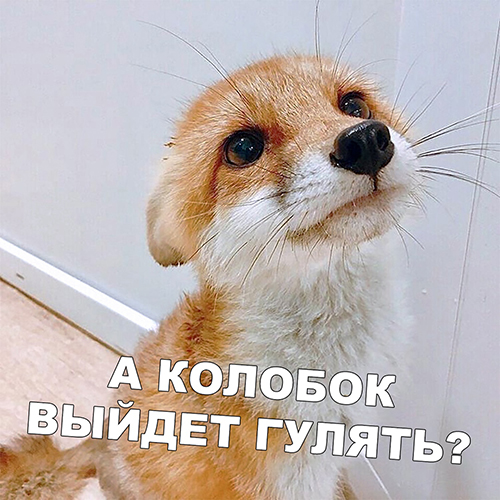Картинок разных винегрет