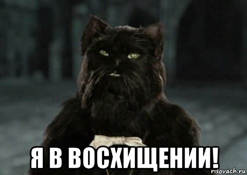 «Это победа!»: мужчину, включавшего по ночам лошадиное ржание, обвинили в психологическом насилии над соседями