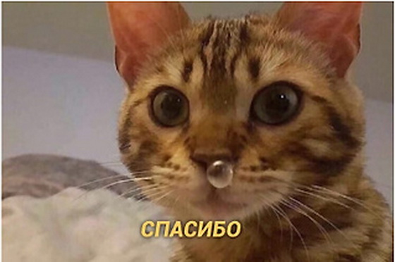 Когда мужчине пора снизить планку