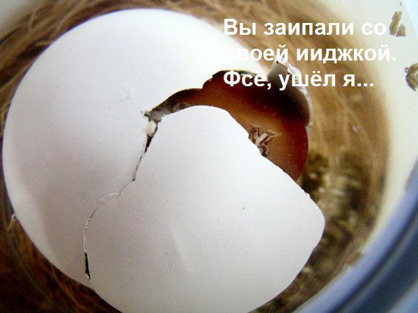 Фотожаба на пятницу