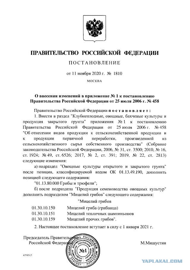 Грибы в России получили официальный статус