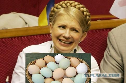 Яичный бой в Украинском парламенте!