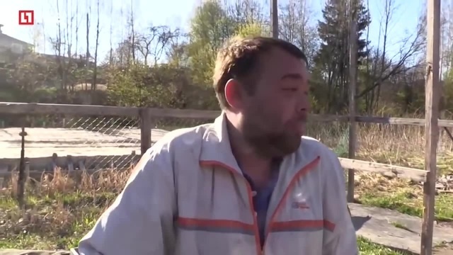 Когда постиг кошачий Дзен