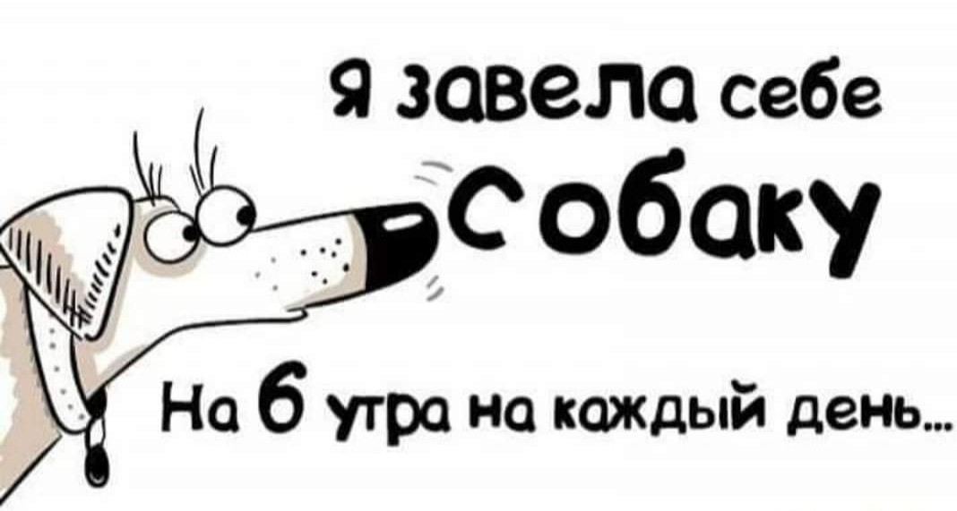 https://s00.yaplakal.com/pics/pics_original/2/5/9/15339952.jpg