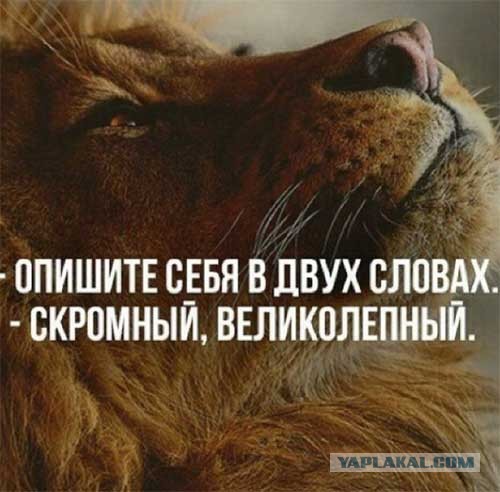 «Бэнкси - это я»: Президент Туркменистана раскрыл личность известного художника